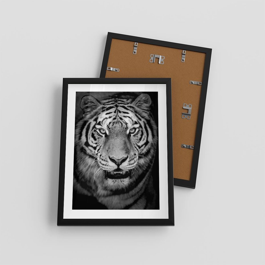 Plakat w ramie 30x40 - Tygrys Czarno-Biały: Siła i Delikatność - tygrys, czarno - rama czarna