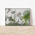 Obraz w ramie 100x70 - Liście eukaliptusa w naturze - eukaliptus, liście - rama czarna