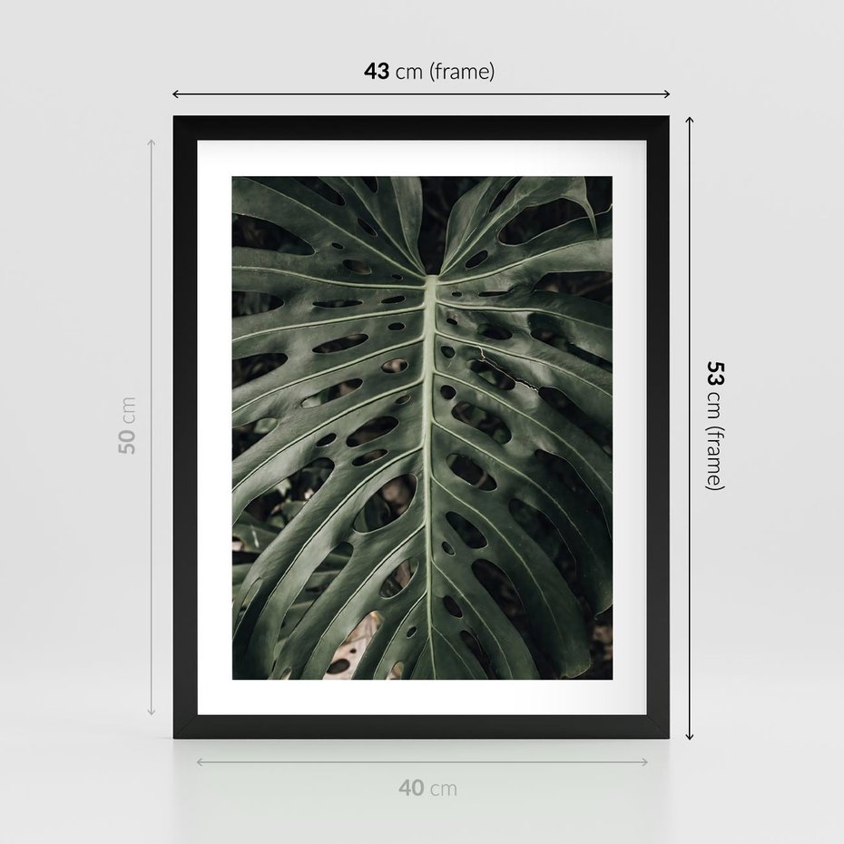 Plakat w ramie 40x50 - Majestatyczny Liść Monstery - liść monstery, majestatyczny liść - rama czarna