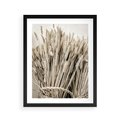 Plakat w ramie 40x50 - Letni Plon - zboże, kłosy zboża - rama czarna