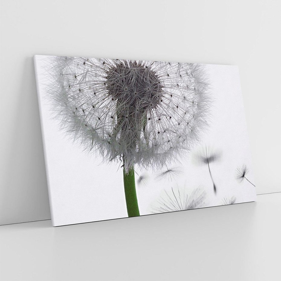 Obraz na płótnie 70x50 - Lekkość Przemijania - dmuchawiec, makro