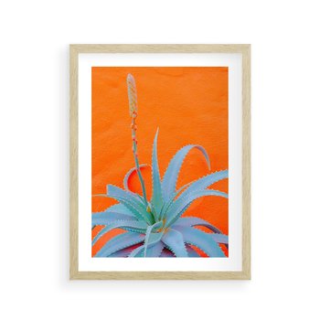 Plakat w ramie 30x40 - Naturalna Harmonia - kaktusy, liście - rama drewno