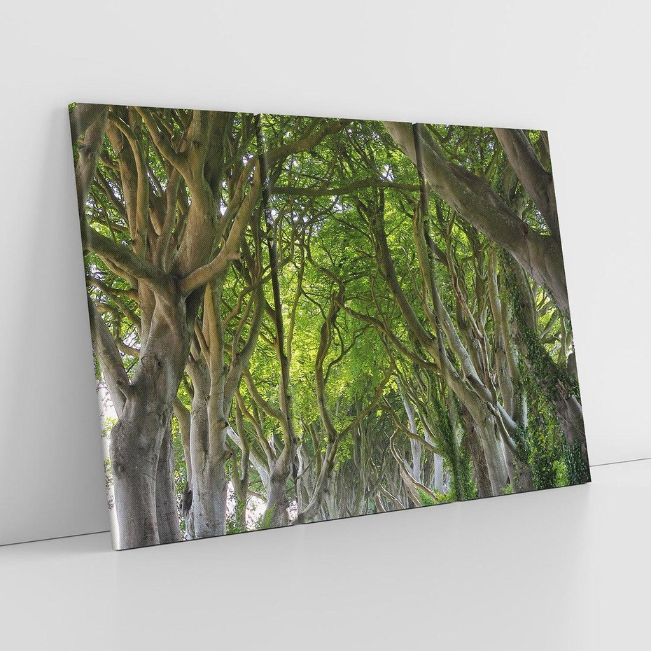 Obraz na płótnie 120x80 - Magiczny Las - drzewa, las