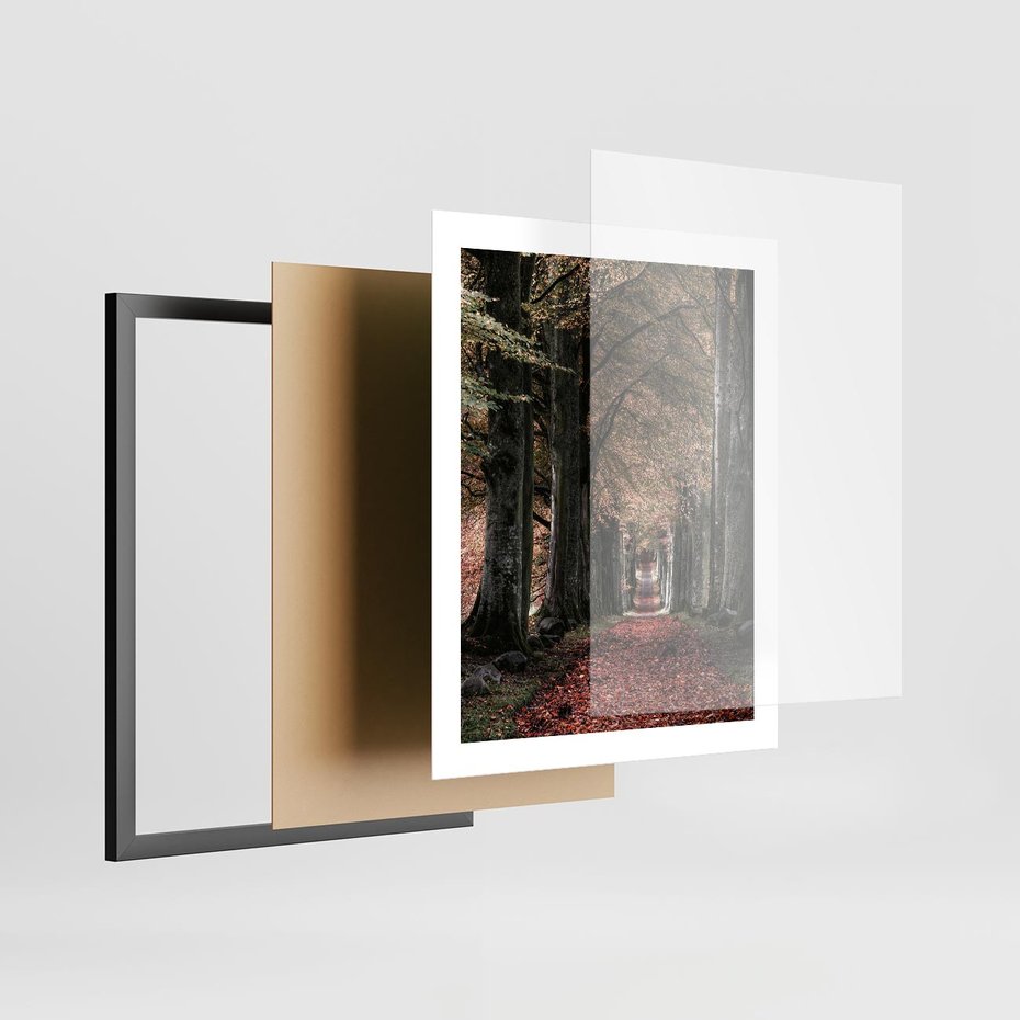 Plakat w ramie 40x50 - Spacer po Leśnej Drodze - ścieżka w lesie, jesień suche liście - rama czarna