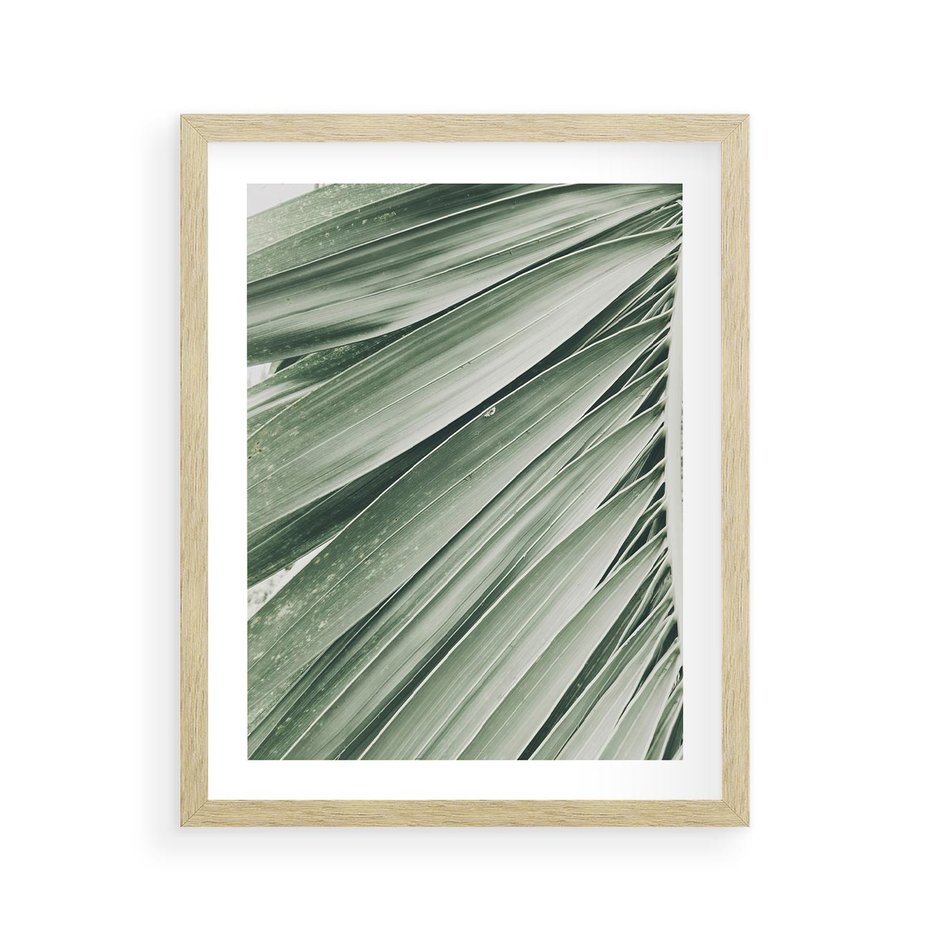 Plakat w ramie 40x50 - Tropikalna Oaza - zielony liść palmy, zieleń - rama drewno