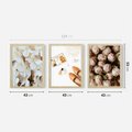 Zestaw obrazy w ramie 40x50 galeria - Kwiaty, moda, nowoczesny - rama drewno