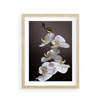 Plakat w ramie 30x40 - SPA: harmonia z kwiatami - spa, kwiaty - rama drewno