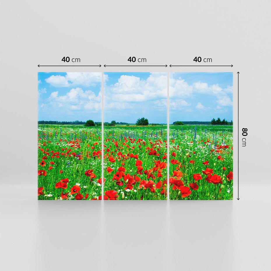 Obraz na płótnie 120x80 - Kolorowa łąka pełna maku - łąka, maki