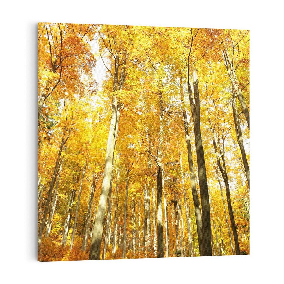 Obraz na płótnie 70x70 - Jesienny Las - Kolorowa Paleta Natury - jesień, drzewa