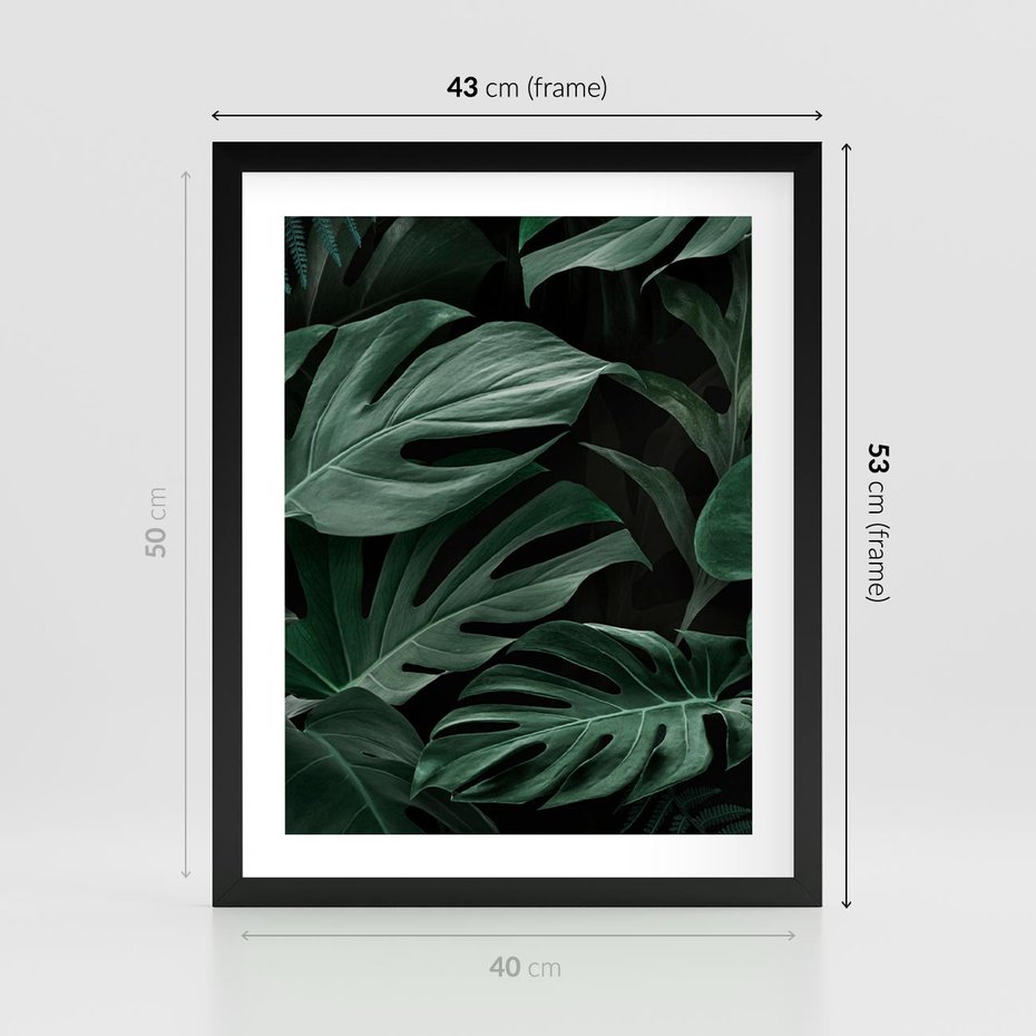Plakat w ramie 40x50 - Zielone Liście Monstery w Dżungli - zielone liście monstery, dżungla - rama czarna