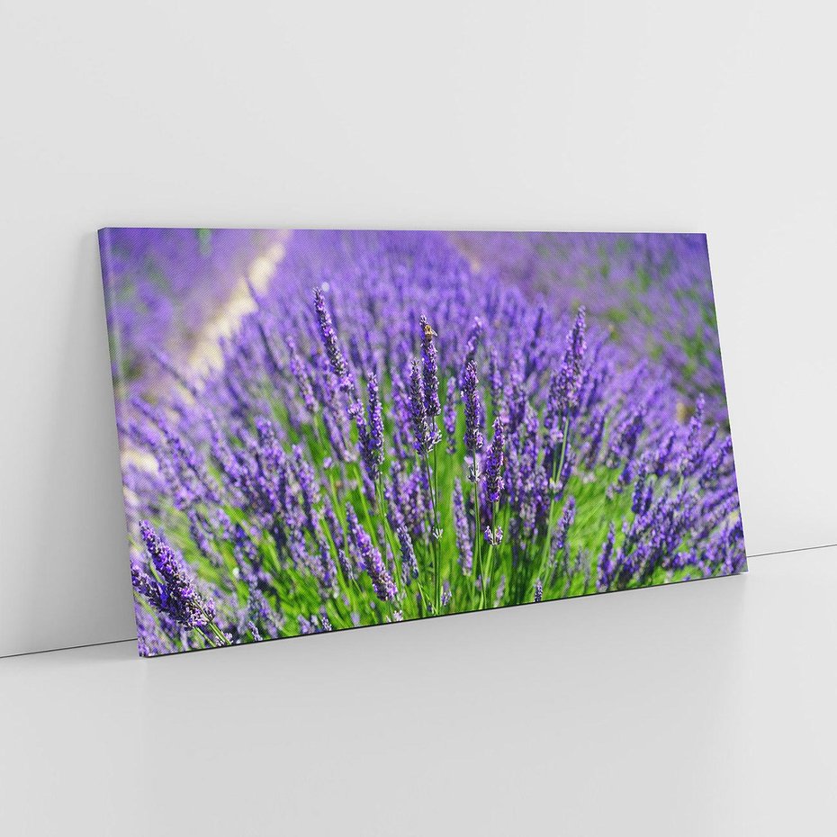 Obraz na płótnie 140x70 - Lawendowe pola piękno natury - lawenda, kwiaty