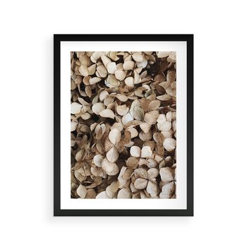 Plakat w ramie 50x70 - Delikatność Hortensji: Kompozycja Kwiatów w Beżu - hortensja, odcienie beżu - rama czarna