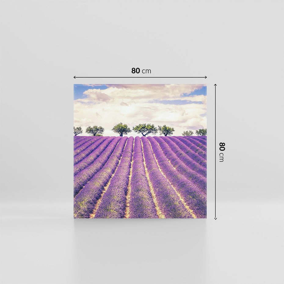 Obraz na płótnie 80x80 - Uroda Lawendy: Kwiatowy Cud Natury - lawenda, kwiaty