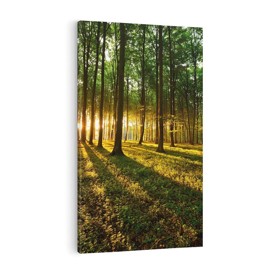 Obraz na płótnie 80x120 - Mistyfikujący urok leśnej głuszy - las, drzewa