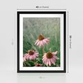 Plakat w ramie 40x50 - Natura w Pełnym Blasku - kwiaty na łące, różowe kwiaty polne - rama czarna