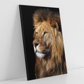 Obraz na płótnie 80x120 - Władca Dzikiej Przyrody - lew, król