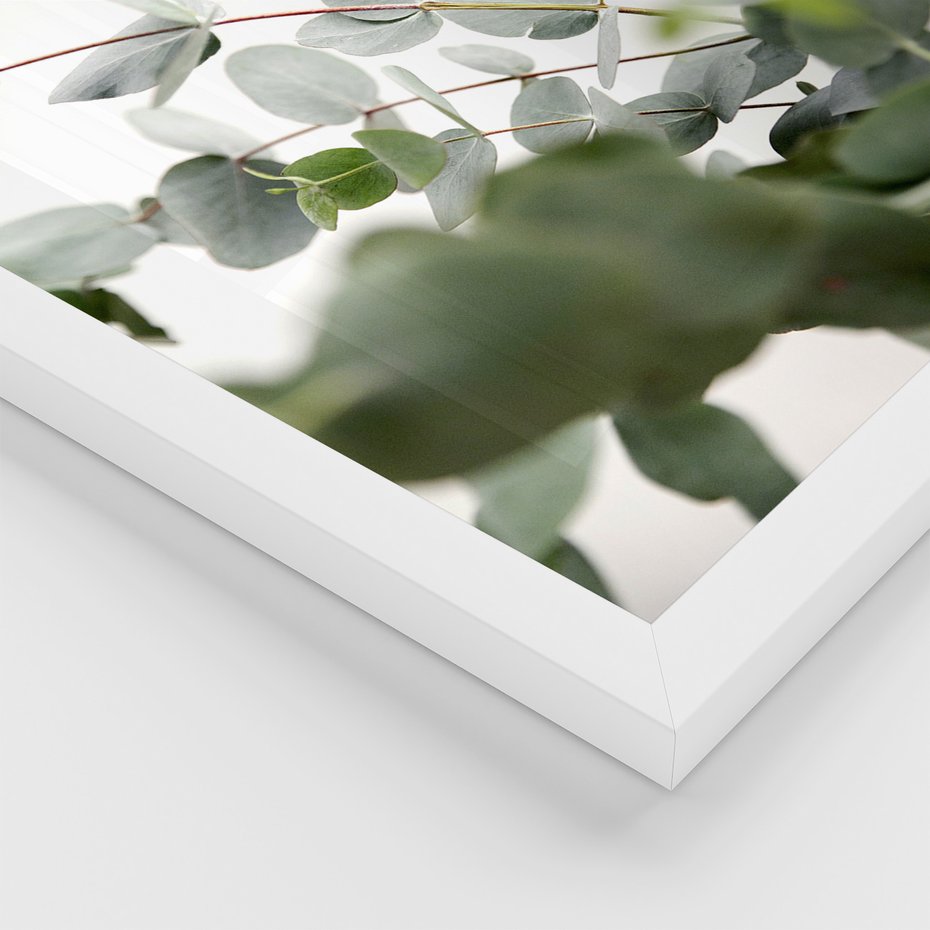 Zestaw obrazy w ramie 40x50 galeria - Eukaliptus, zielone, liście, minimalizm - rama biała