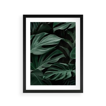 Plakat w ramie 40x50 - Zielone Liście Monstery w Dżungli - zielone liście monstery, dżungla - rama czarna