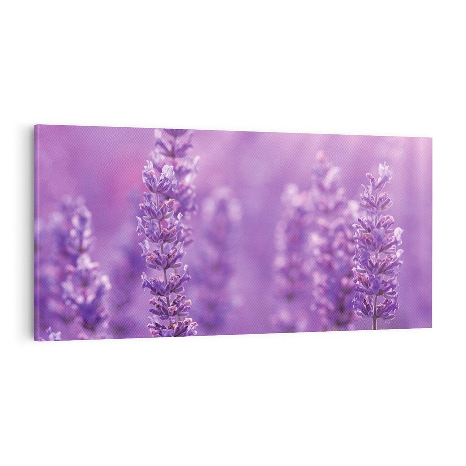 Obraz na płótnie 100x50 - Fioletowa harmonia lawendy - lawenda, fiolet