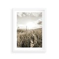 Plakat w ramie 30x40 - Łąka w Klimacie Sepii - suche trawy, łąka - rama biała