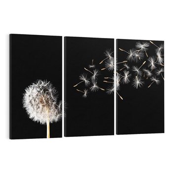 Obraz na płótnie 120x80 - Delikatne płatki dmuchawca - dmuchawiec, kwiaty