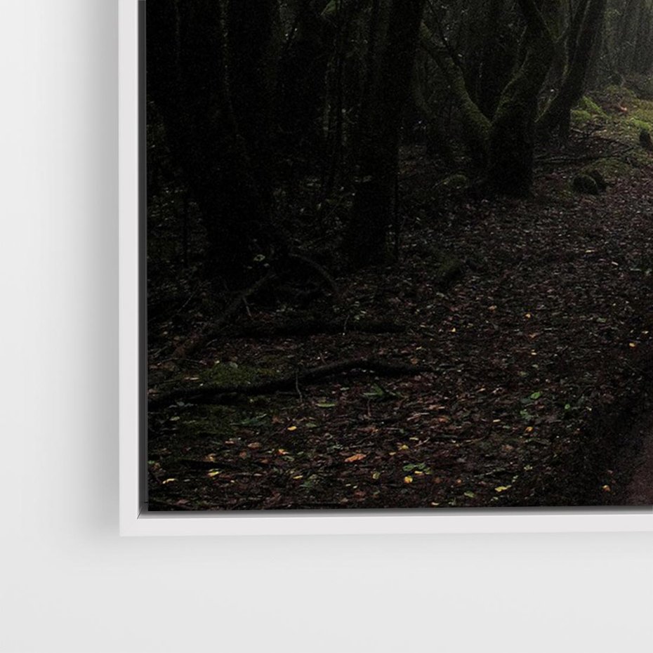 Obraz w ramie 100x70 - Urok Drogi - las, droga - rama biała