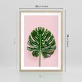 Plakat w ramie 50x70 - Monstera w Różowym Świetle - liść monstery, różowe tło - rama drewno