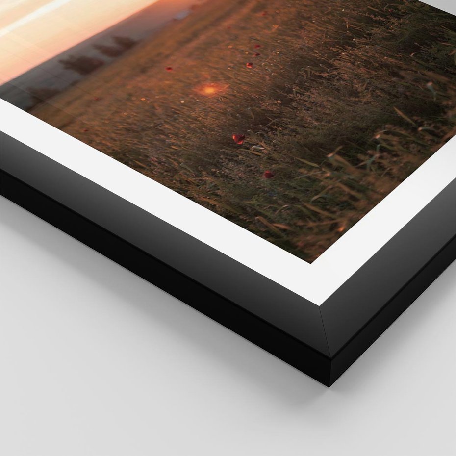 Plakat w ramie 50x70 - Łąka we Wschodzącym Słońcu: Magia Poranka - łąka, krajobraz - rama czarna