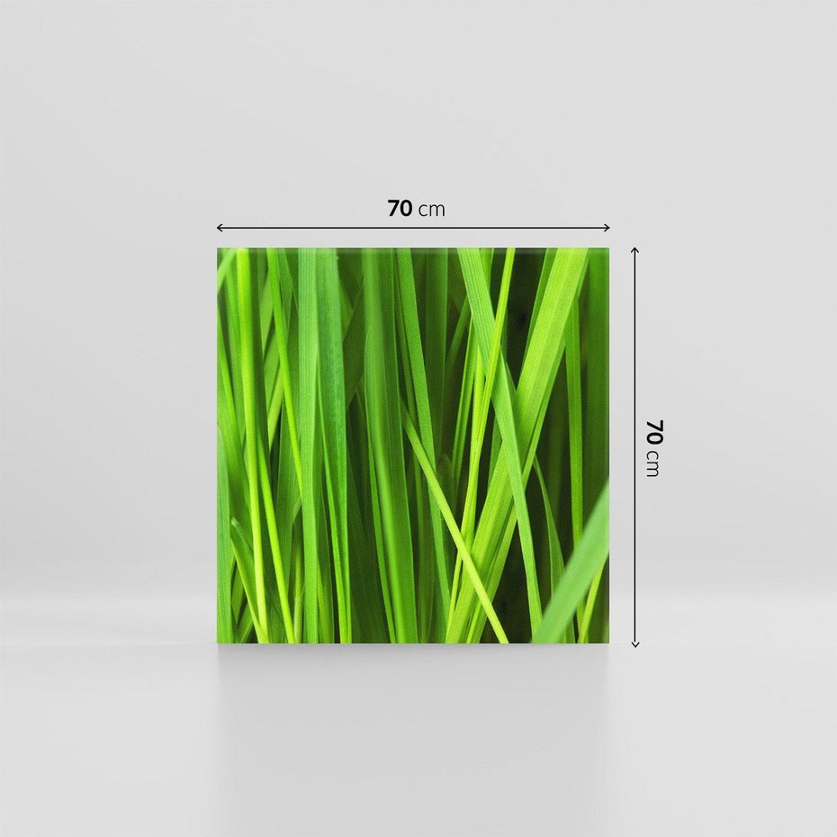 Obraz na płótnie 70x70 - Trawa w abstrakcji: natura przekształcona - trawa, abstrakcja