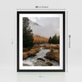 Plakat w ramie 40x50 - W Górskiej Dolinie - artystyczna fotografia, las - rama czarna