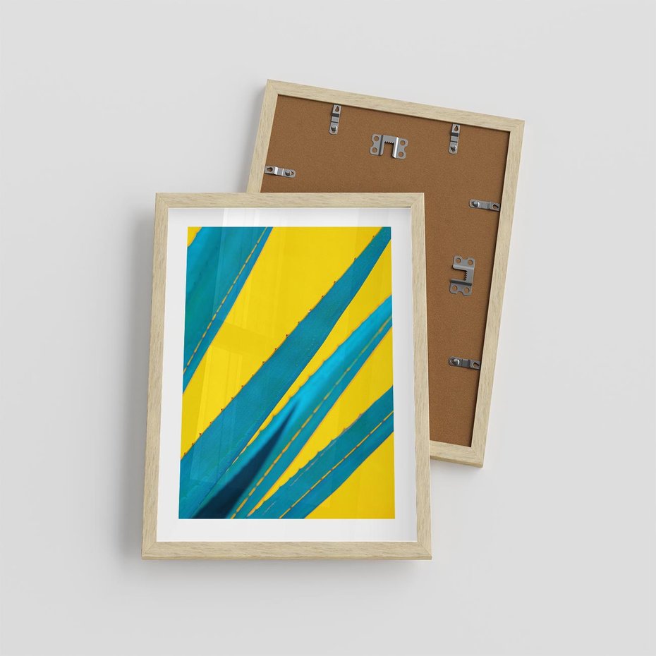 Plakat w ramie 30x40 - Świeżość Natury - aloes, liście - rama drewno