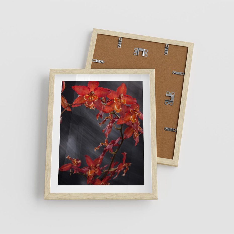 Plakat w ramie 40x50 - Kolorowy Raj - kwiaty, tropikalne - rama drewno
