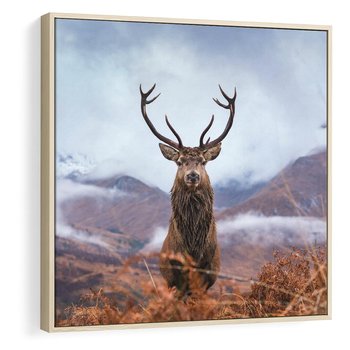 Obraz w ramie 80x80 - Jeleń w Uśpionym Krajobrazie - jeleń na tle gór, ośnieżone góry - rama drewno