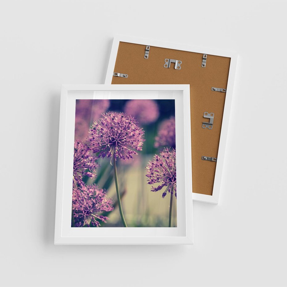 Plakat w ramie 40x50 - Kwiatowa łąka w pełnym rozkwicie - kwiaty, łąka - rama biała