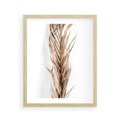 Plakat w ramie 40x50 - Minimalizm Palmowy: Sucha Uroda - sucha palma, minimalizm - rama drewno