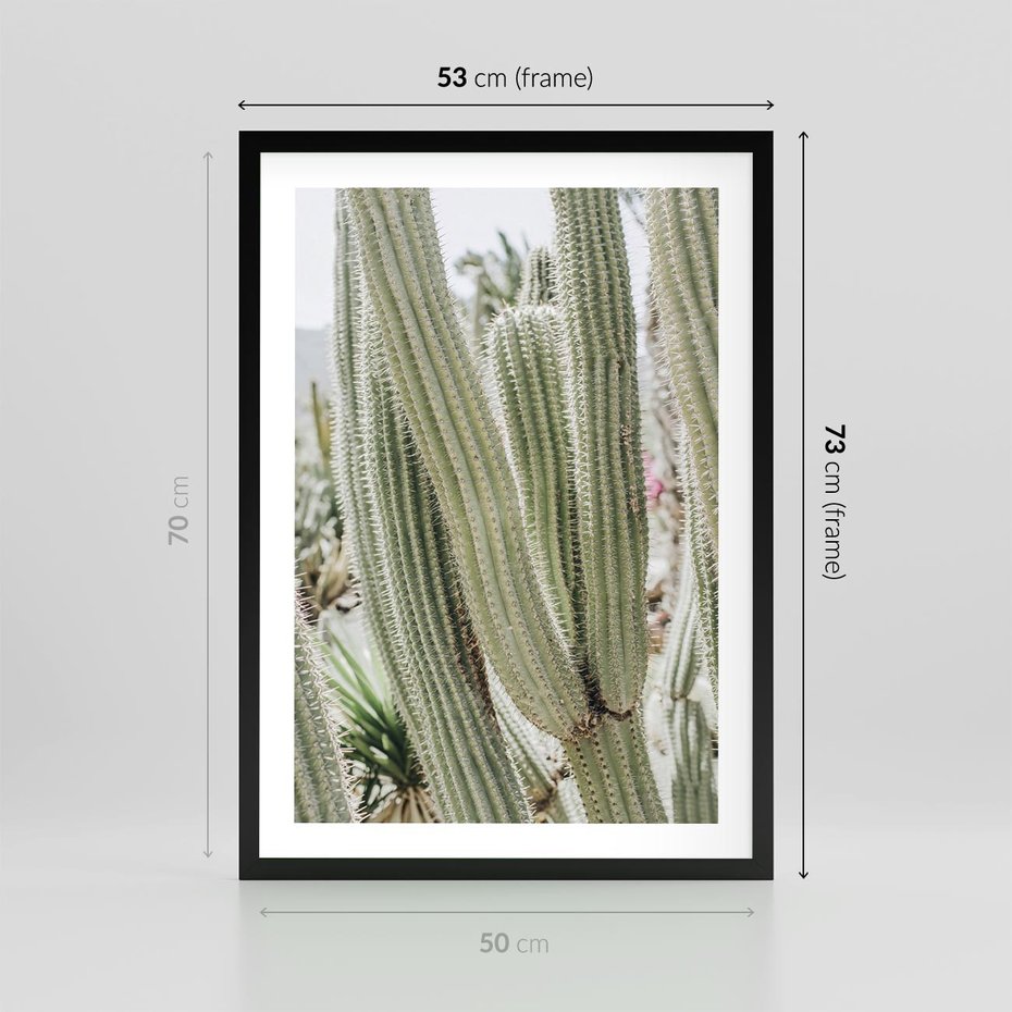 Plakat w ramie 50x70 - Duże Kaktusy w Pejzażu - kaktus, duże kaktusy na pustyni - rama czarna
