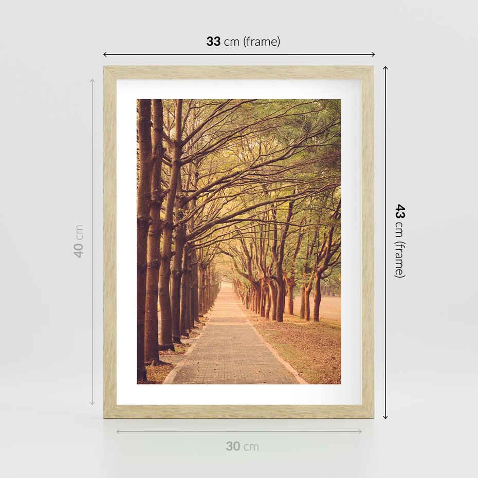 Plakat w ramie 30x40 - Wędrówka między drzewami - droga, drzewa - rama drewno