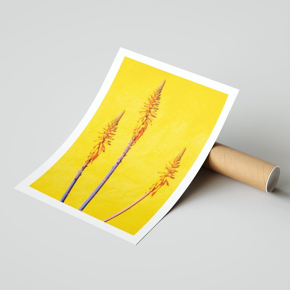 Plakat bez ramy 50x70 - Radość Natury - kolor, kwiaty