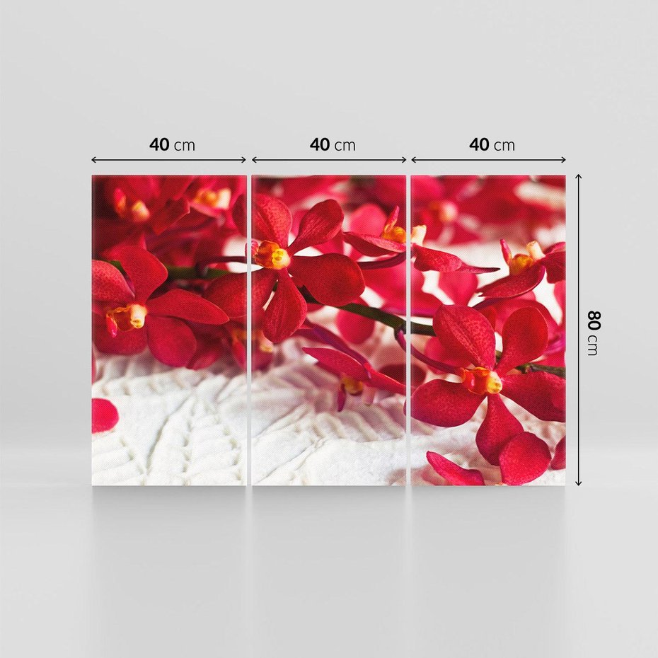 Obraz na płótnie 120x80 - Delikatność Kwiatowej Elegancji - orchidea, kwiat