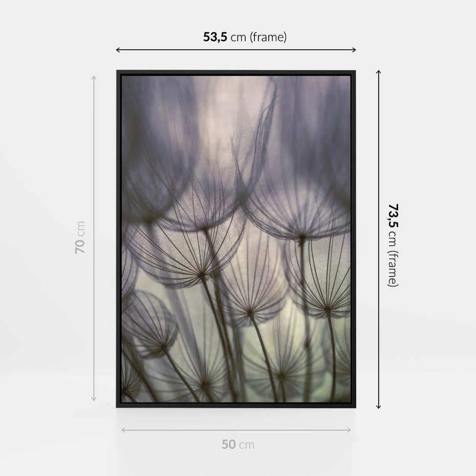 Obraz w ramie 50x70 - Makro dmuchawiec - piękno drobnych detali - dmuchawce, makro - rama czarna