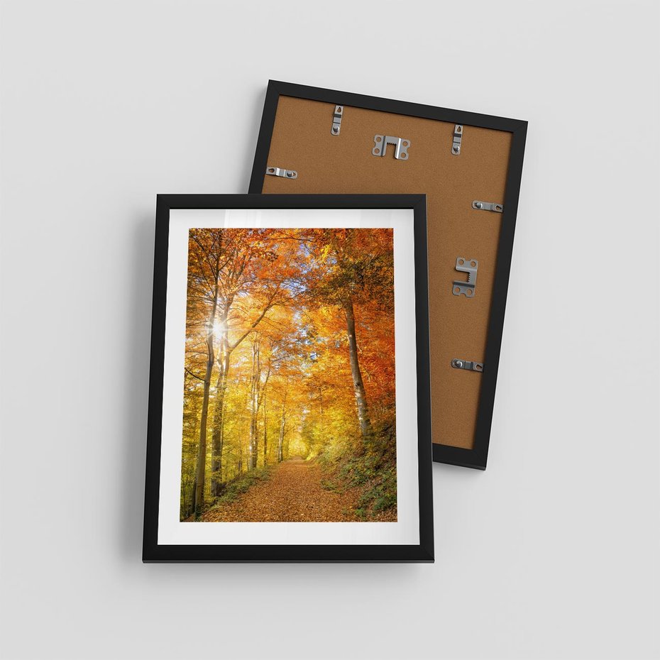 Plakat w ramie 30x40 - Złote barwy jesiennego lasu - las, jesień - rama czarna
