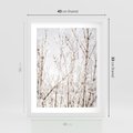 Plakat w ramie 40x50 - Szron na Gałęziach - ośnieżone gałązki, szron na gałęziach - rama biała