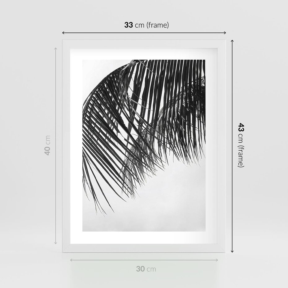 Plakat w ramie 30x40 - Czarno-Biały Kontrast - czarno białe zdjecie, palma - rama biała