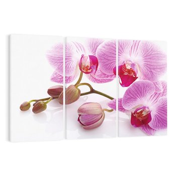 Obraz na płótnie 120x80 - Elegancka orchidea w pełnym rozkwicie - orchidea, kwiat