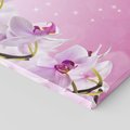 Obraz na płótnie 80x120 - Relaksujące Piękno - kwiaty, orchidea