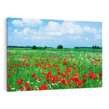 Obraz na płótnie 100x70 - Kolorowa łąka pełna maku - łąka, maki