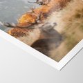 Plakat bez ramy 30x40 - Malownicza Harmonia - jelenie, jesień