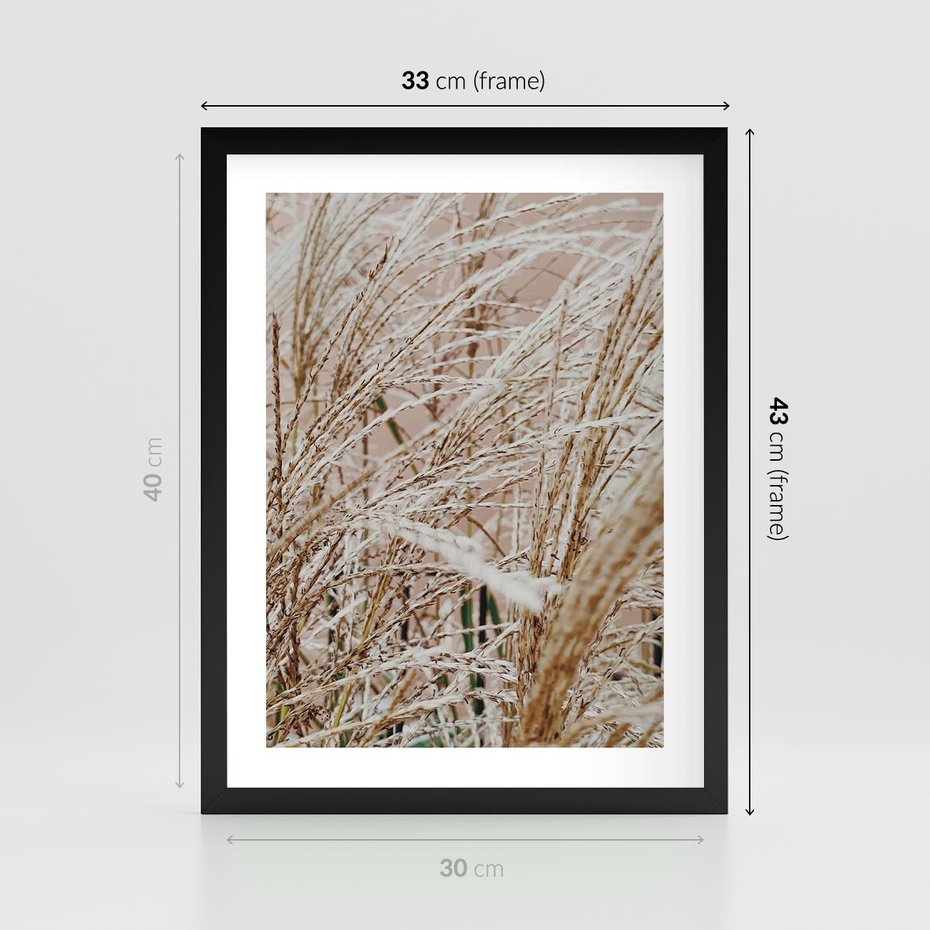 Plakat w ramie 30x40 - Beżowa Trawa - suche trawy, zbliżenie - rama czarna