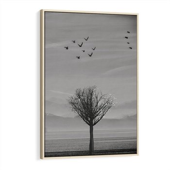 Obraz w ramie 70x100 - Samotne Drzewo - samotne drzewo w polu, czarno białe zdjęcie - rama drewno