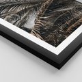 Plakat w ramie 50x70 - Liściaste Palmy - palmy, drzewa palmowe - rama czarna